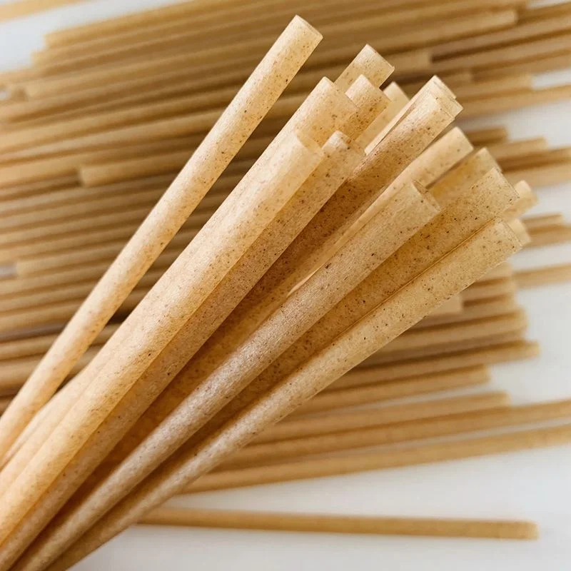 Hot Sale Compostable Biodegradable Fashion Ecological Sugar Cane Straws Sugarcane Bagasse Paper Pulp Straw