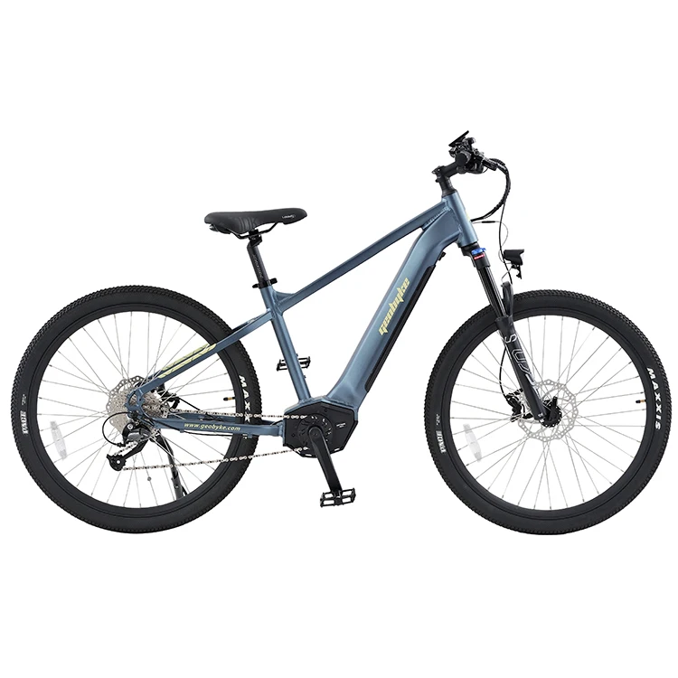 Warehouse Direct Sale Electric Bike Cheap Price Emtb 9 Speed Electric Safe And Stable