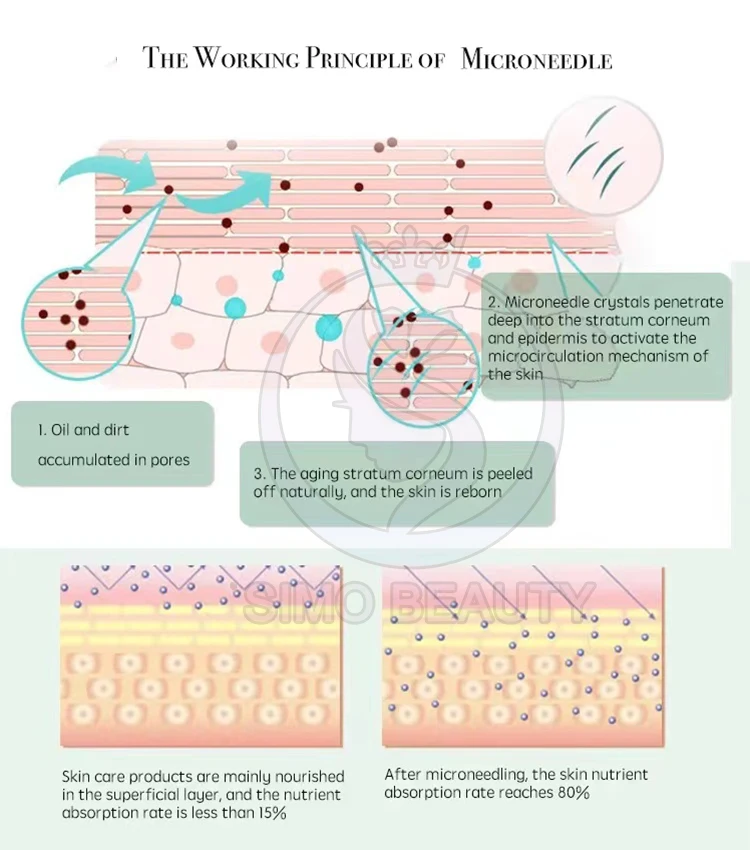 Skin whitening collagen and biotin ha mesotherapy solution body building ampoule germany made in China