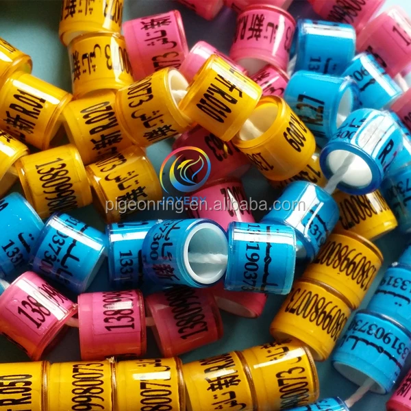 High quality european countries clubs plastic pigeon rings new model pigeon ring