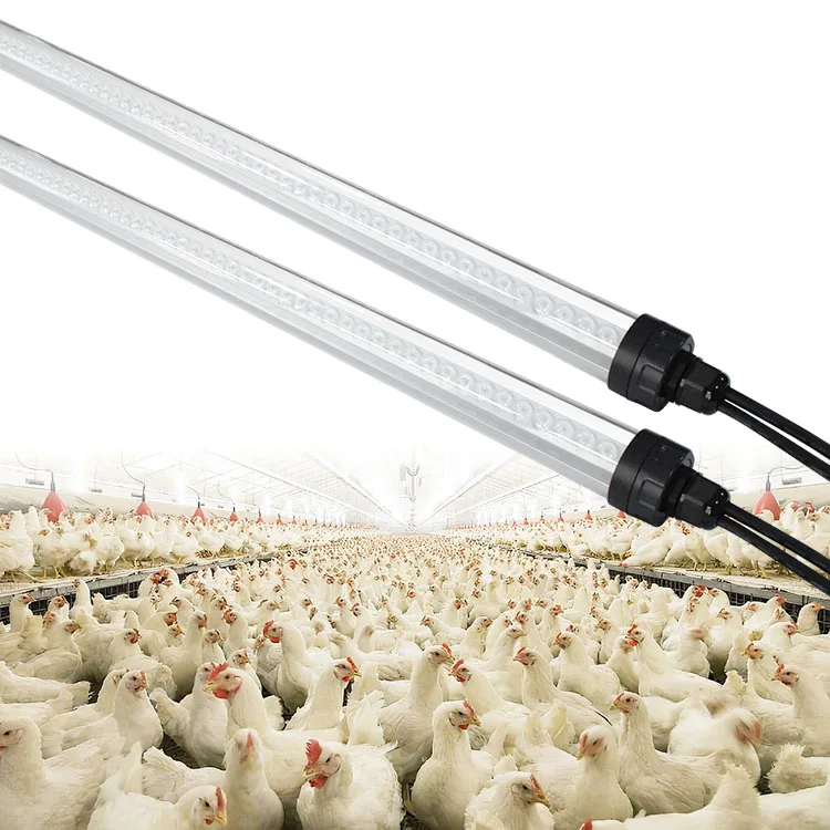 Chicken Farm Led Tube Light Waterproof Dimmable  corrosive-gas resistance Lights For Poultry Tube Lamp