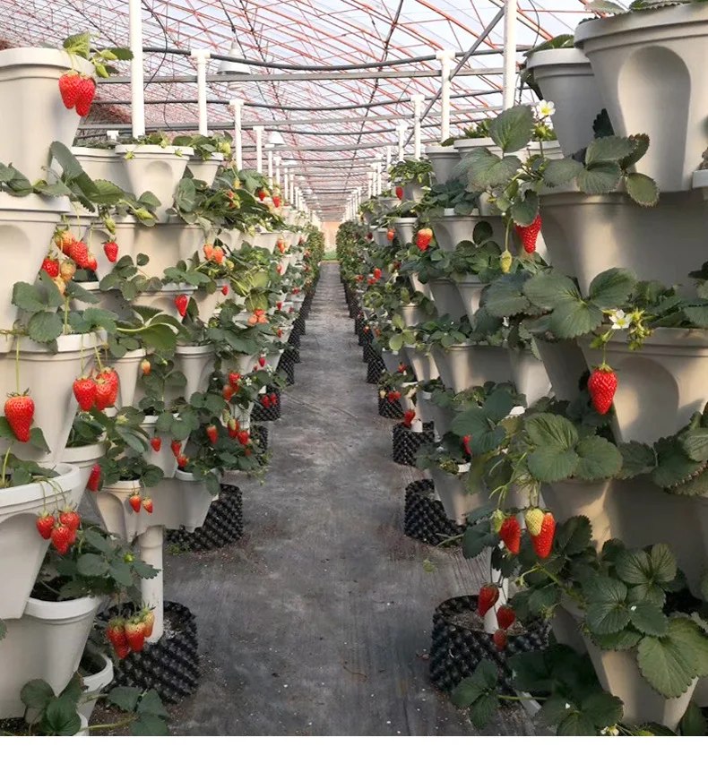 4 petal stackable vertical strawberry planter quality guaranteed balcony nursery strawberry tower planter pots