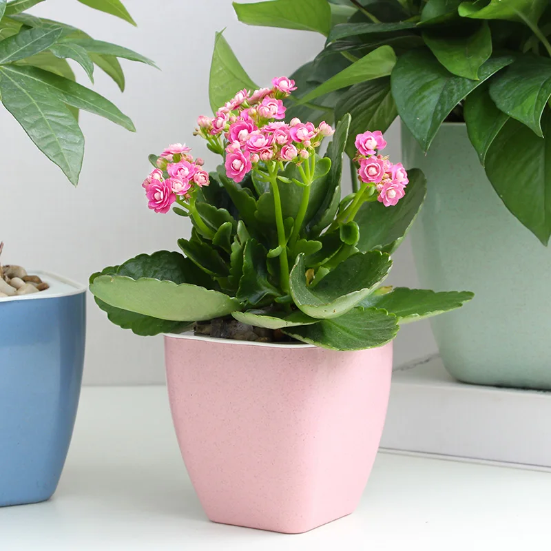 2020 hot sales Lazy Circular Self Watering Absorption Plants fiber plastic Hydroponics Plastic Flower Pot