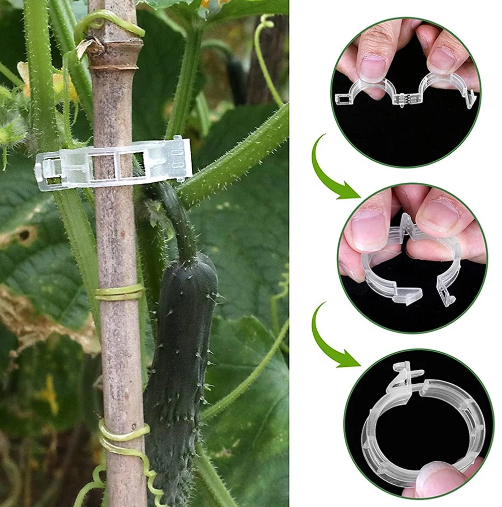 100pcs Plant Support Clips Tomato Clips Reusable Garden Clips for Support Grape Vines Fruits Vegetable Plants Orchard and Garden