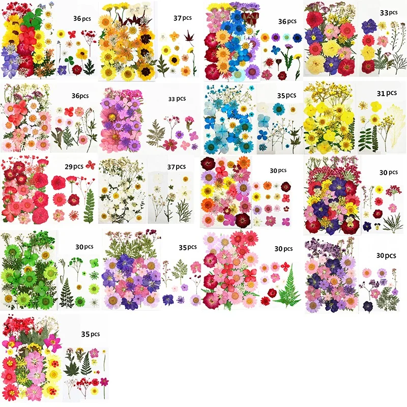 Bulk Sale Multicolor Multifunctional DIY Candle Phone Case Make Decorative Pressed Dried Flowers For Resin