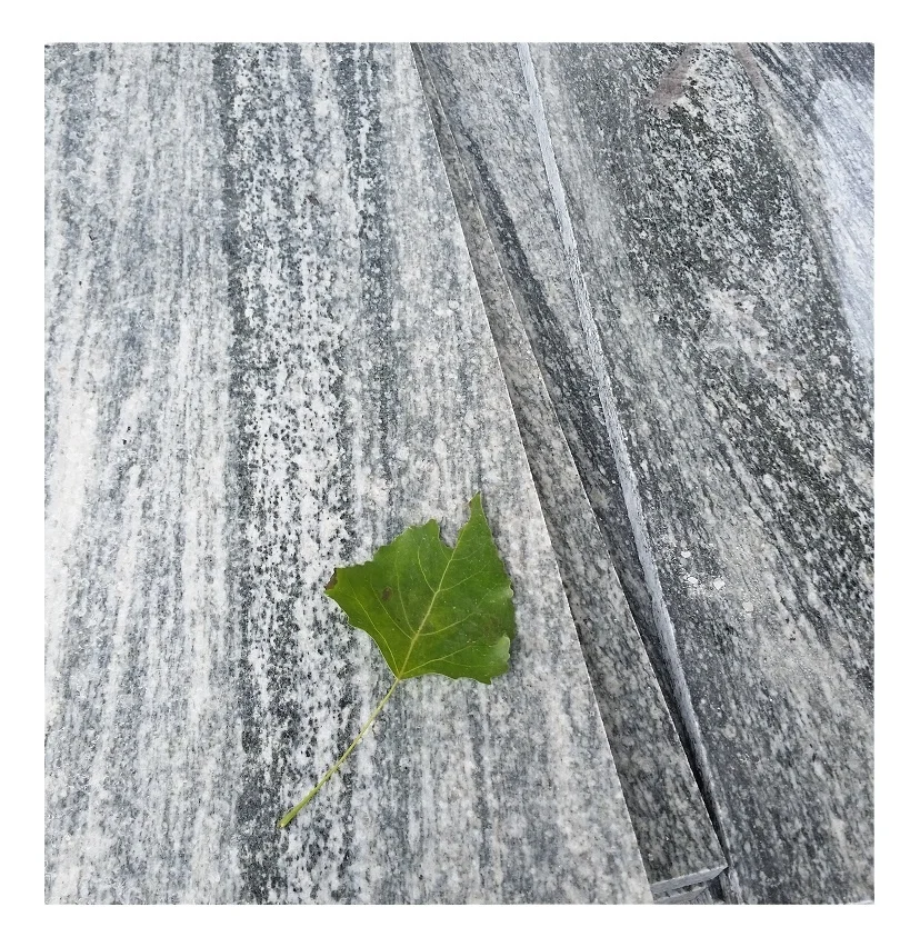 China Taifun grey granite ,Nero Santiago paving slabs, Natural Biasca Gneis