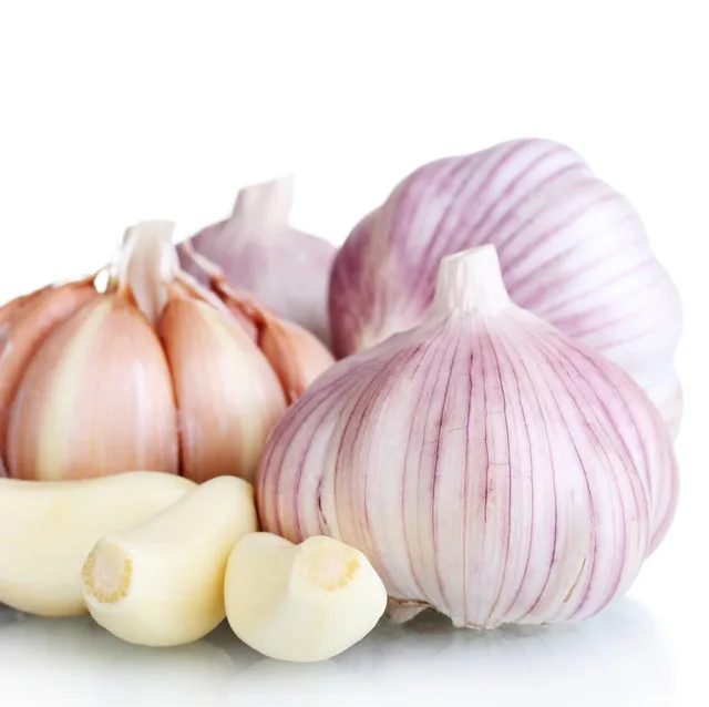 Лидер продаж, оптовая продажа, Семена Чеснока для посадки, Китай