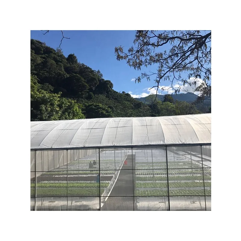 Low cost NFT hydroponics system for vegetable vertical hydroponic growing in greenhouse PVC pipe aquaponic system