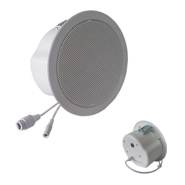 SINREY NA743T Receive audio data from network and provide audio output ip horn speaker column background music