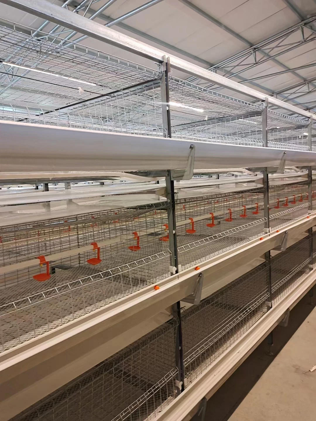 Chicken cage for broilers roosters cage