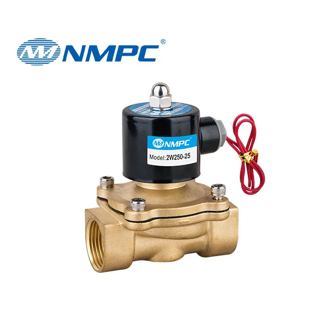 1/2 inch 2W160-15 2/2 Way Direct Acting Solenoid DC12V 24V AC 220V Brass Water Solenoid Valve