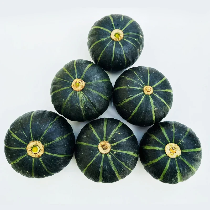 High Quality Cheap Freshly Picked Pumpkin Lot With Quick Preservation Methods