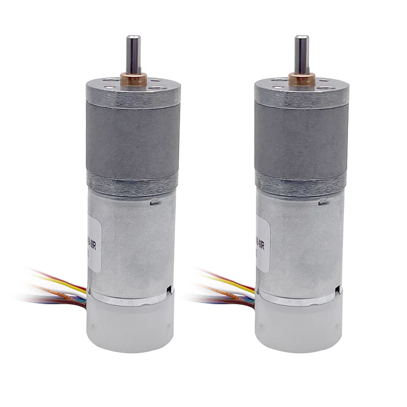 Hot sale 25mm gear dc brushless motor GM25-TEC2430 12v 24v high efficiency bldc gear motor
