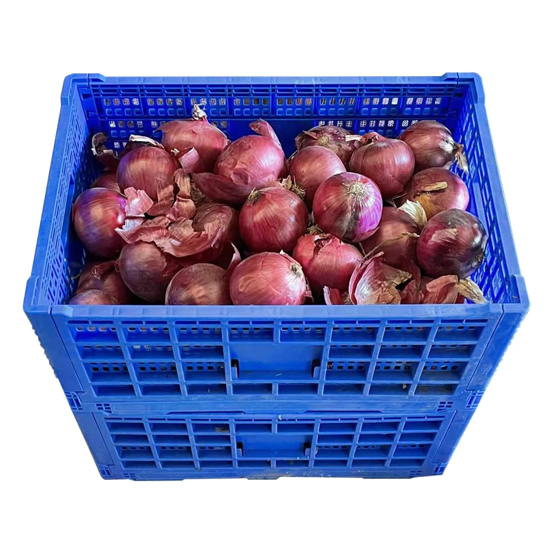 Plastic Produce Crates, Stackable Vegetable Harvest Crates containers  and bins to cleanly and safely harvest and store fru