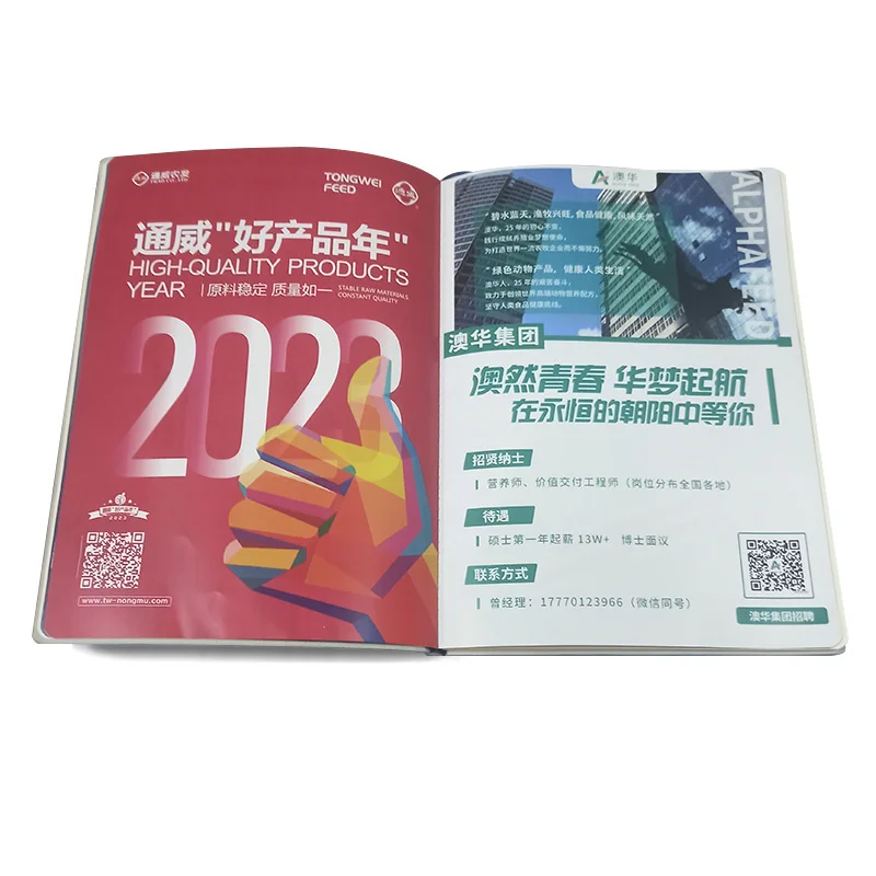 Service Top Quality A4 A5 Flyer Printing Poster Custom Size Catalogue/Brochure/Booklet Printing