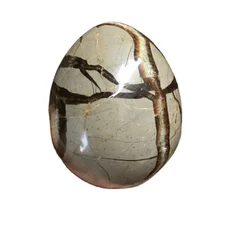 Wholesale natural beetle stone tortoiseshell stones eggs septarium egg for decoration
