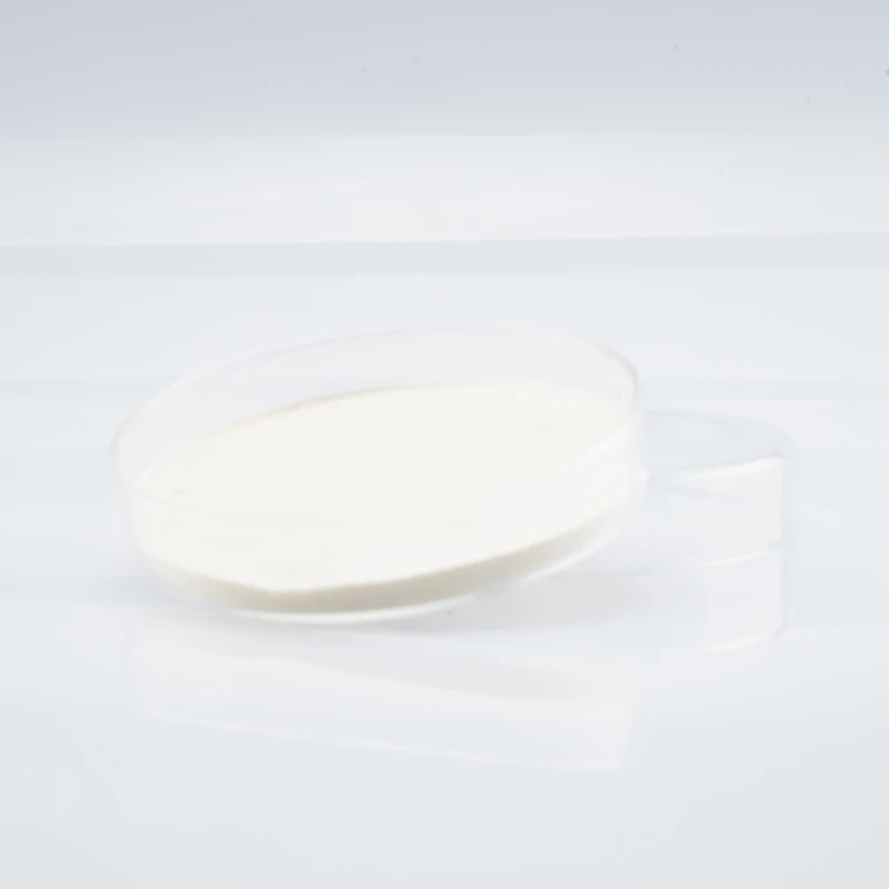 
Hot Selling OEM HACCP ISO22000 HALAL High Quality Probiotic Probiotics blend Powder Lactobacillus reuteri 200Bcfu 