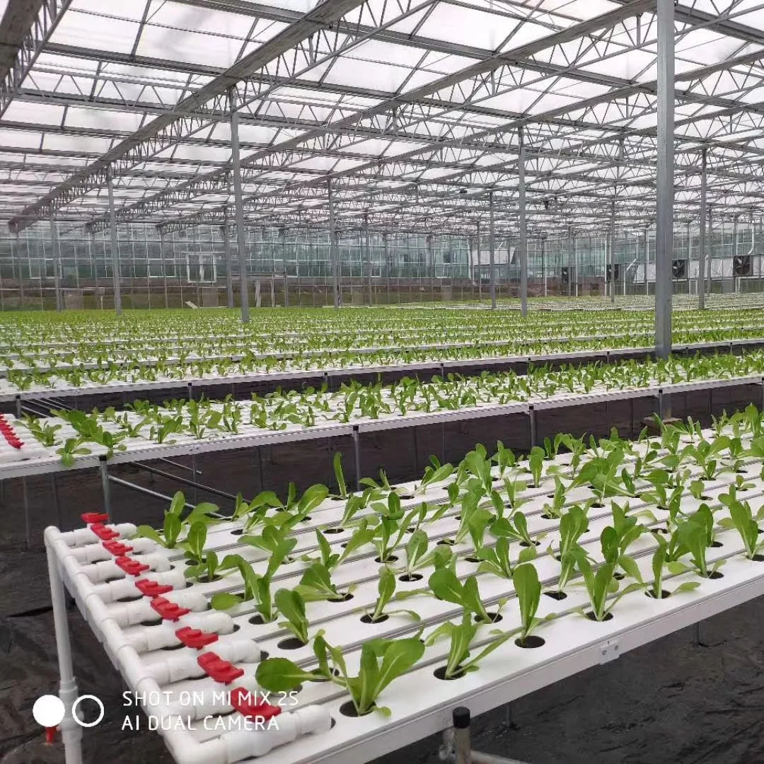 Vegetable vertical planting mode NFT hydroponics system factory direct sales