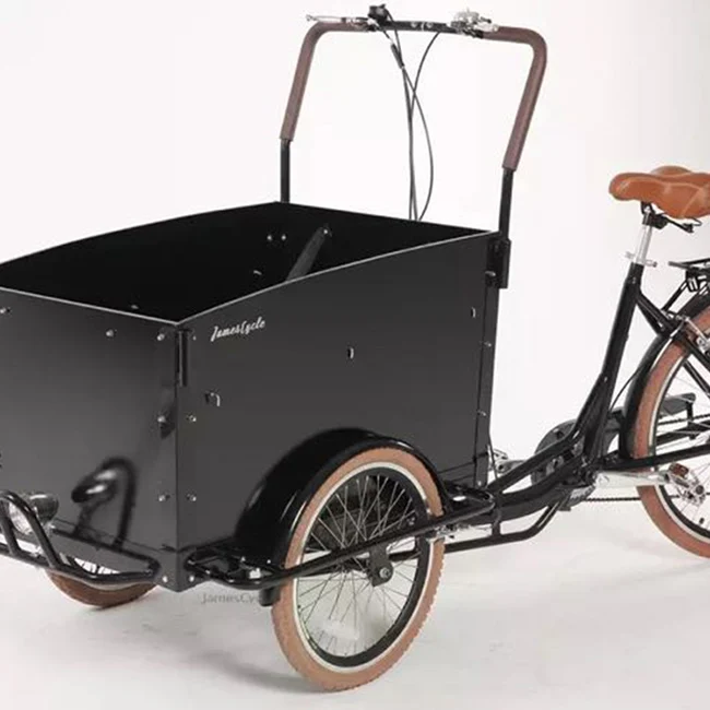 New amusement baby three-wheeled bicycle electric cargo and passenger bicycle
