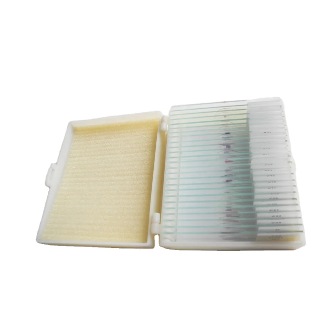 Hot Selling Biology Microscope Human Histology Prepared Slides Set