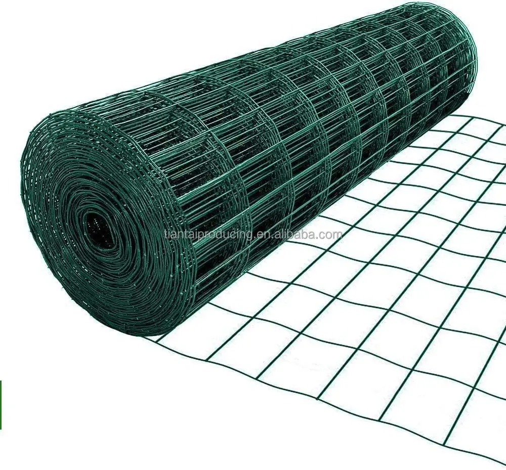 High Quality Galvanized Welded Fence Wire Mesh Galvanized Welded Wire Mesh