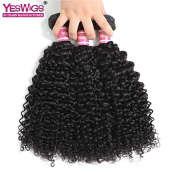 Human Hair Supplier Yeswigs Kinky Curly Extensions 100 Original Indian Virgin Human Hair Free Sample Natural Hair Bundles