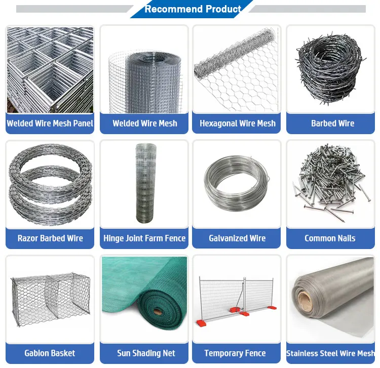 Chain Link Fence (5)