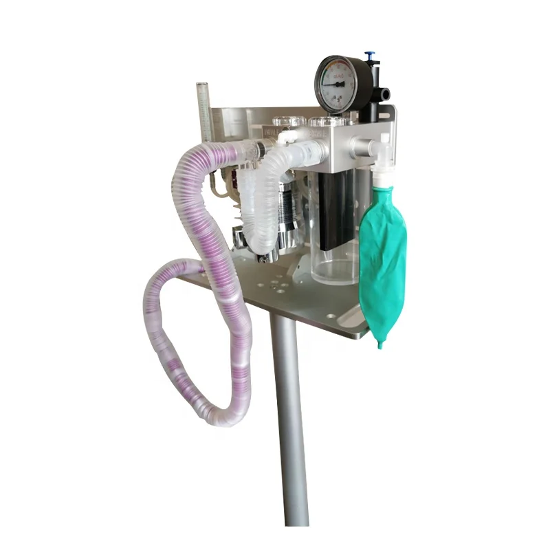 
Reliable Vet Anesthesia Machine for Animal Hospital forsale 