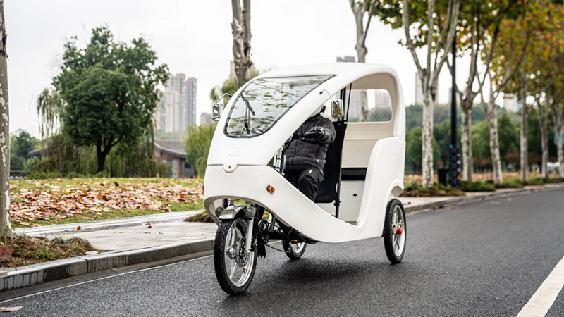 Трехколесный мотоцикл с большим количеством пассажиров 1000 Вт Velo Taxi электрический Pedicab