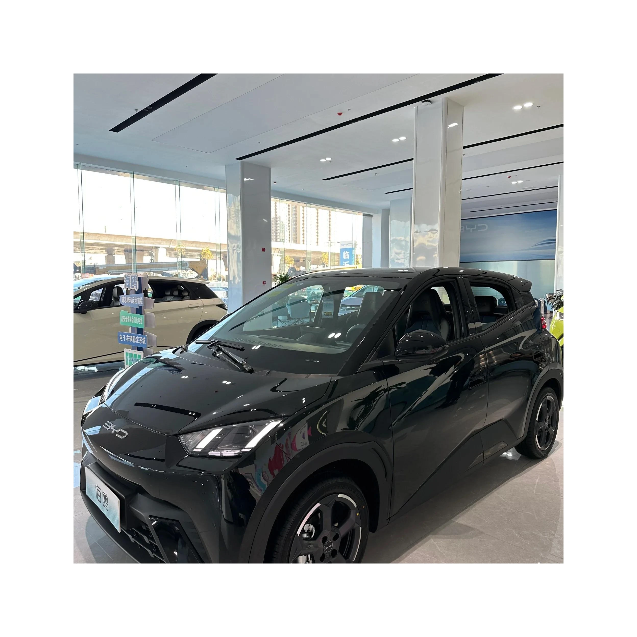 5-дверный электромобиль с хэтчбеком Ev городской Электромобиль работоспособность на высокой скорости для Чайки