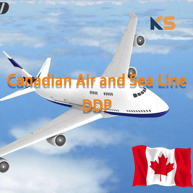 From China To Canada DDP Express agents Forwarding shipment By Sea By Air Free Shipping agent freight forwarder canada