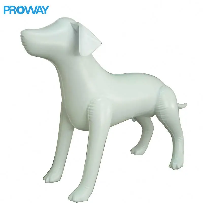 Colourful Dog Display Black Mannequin For Wig Model Abstract Head Display