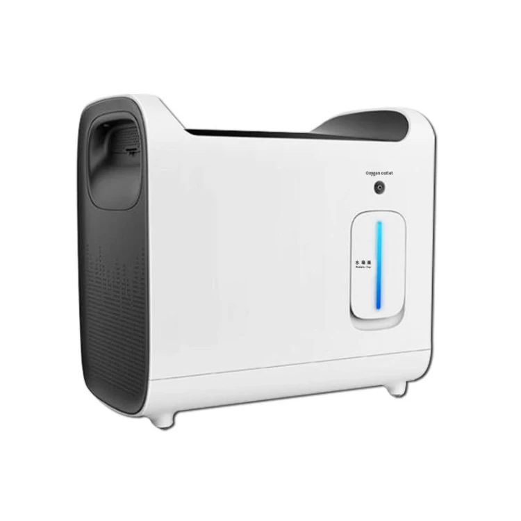 2021 New Portable Small 2l Cheap Price Oxygen Concentrator