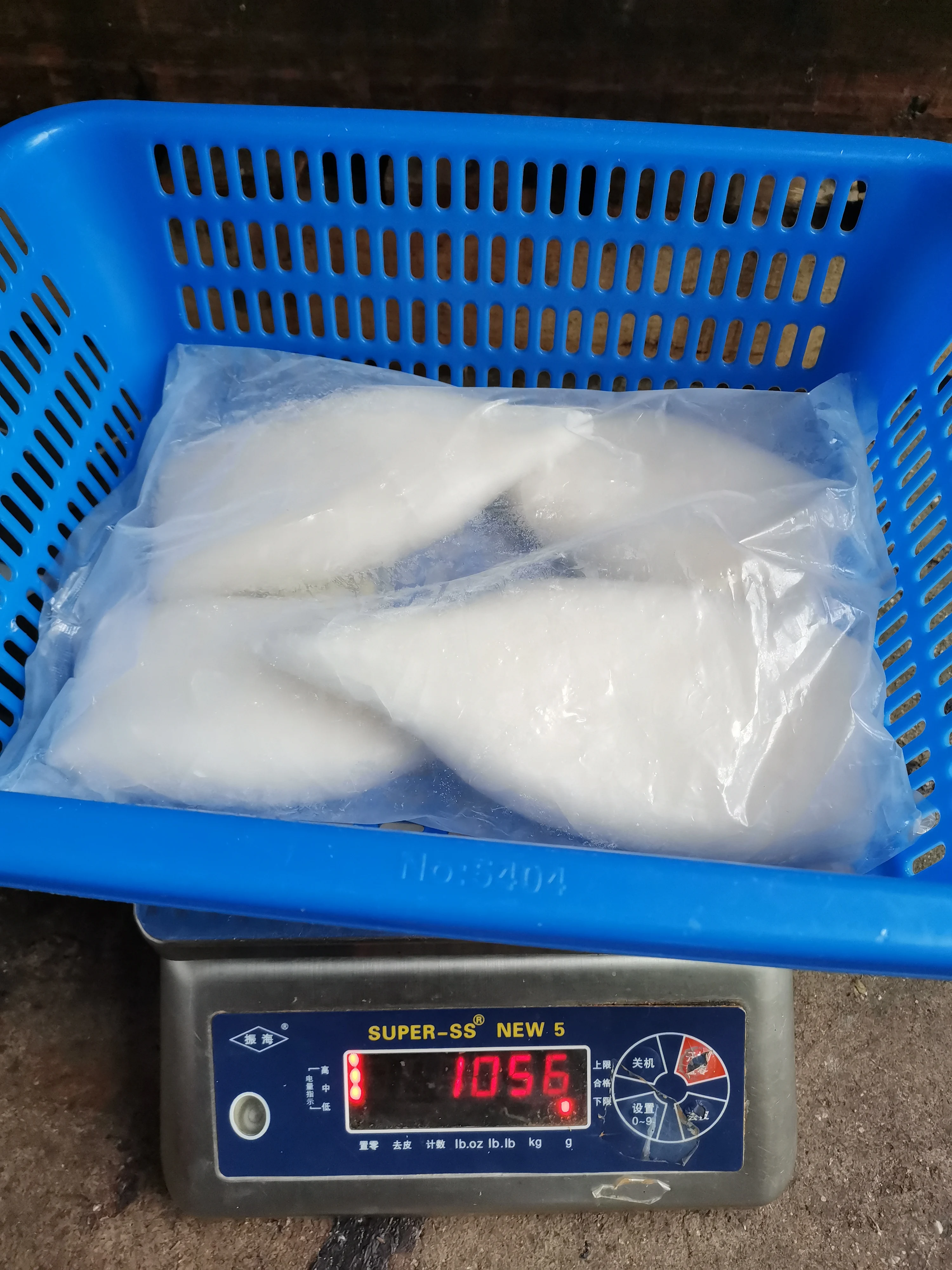 Best frozen giant squid tube dosidicus giga 50% glazing