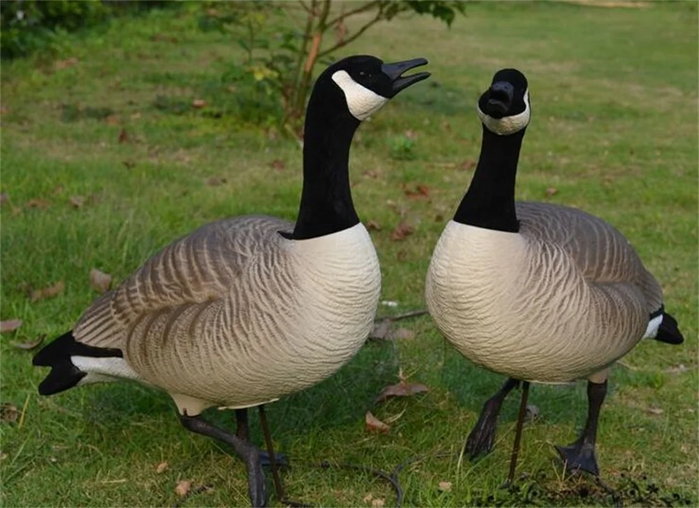 Xilei Wholesale Bulk Decoy Canada Goose Filet Cana Goose