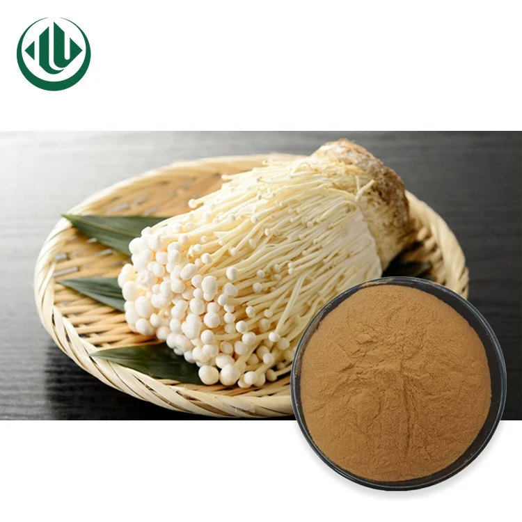 Golden Enoki Mushroom Extract Flammulina Velutipes Powder with Free Sample
