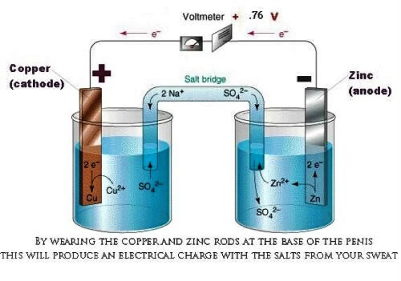 New Popular Long Lasting training Erato Penis ED MAGNETIC ZINGER Male Penis Ring for Penis Enlargement Sex toy for Man
