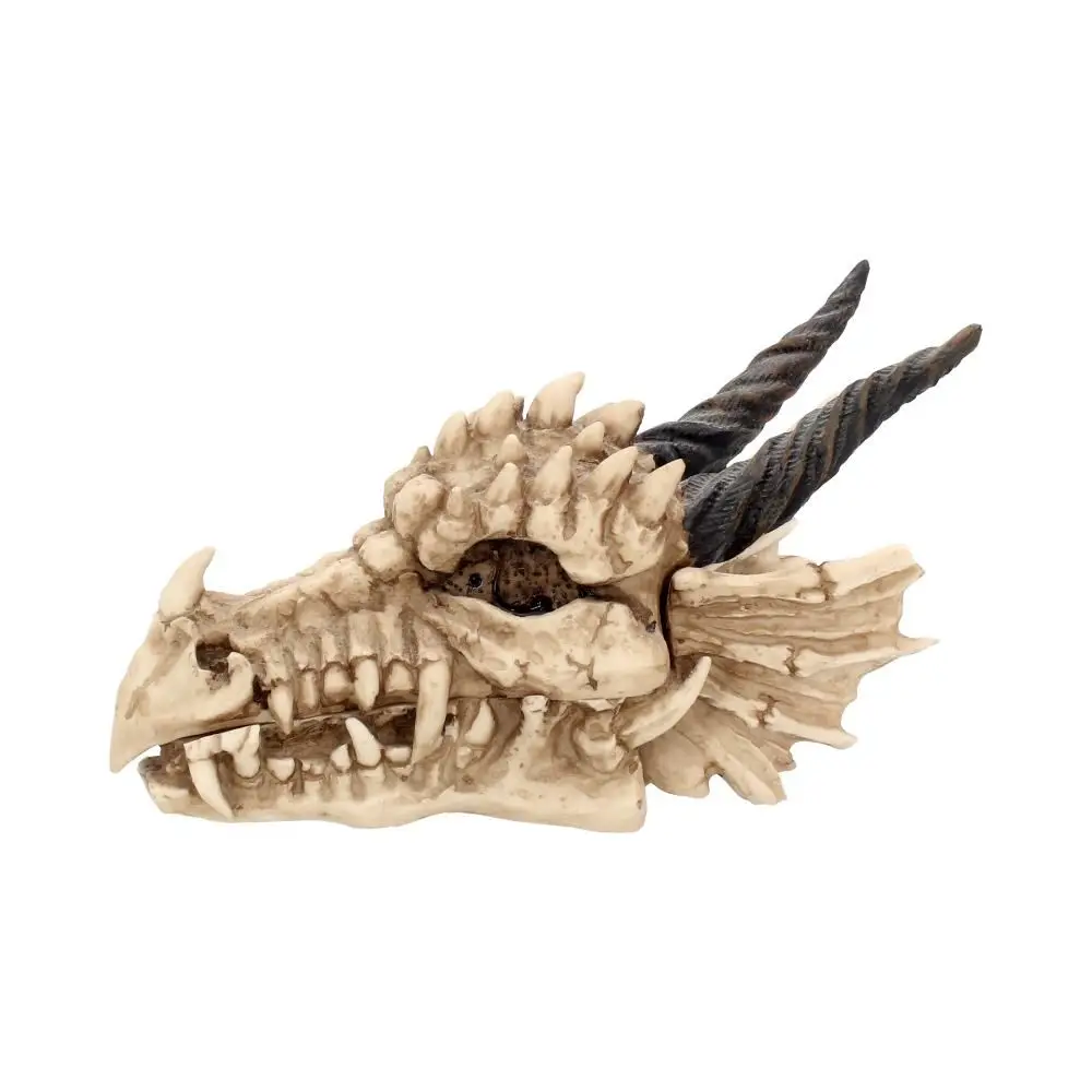 
Great sculpture Fantasy Gothic Dragon Skull Trinket Box skulls ornaments dragon statue 