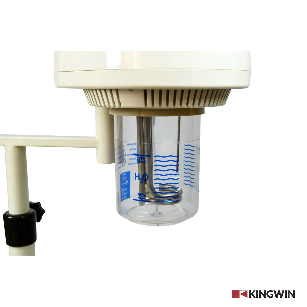 Salon professional High-class beauty machine 2-in-1 magnifying lamp with facial steamer