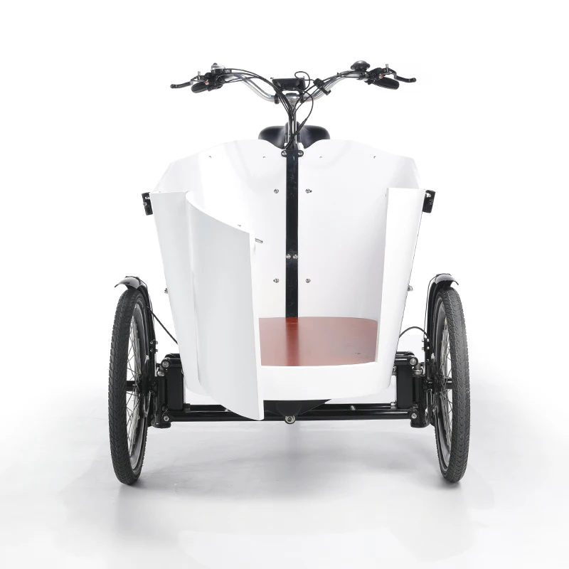 2022 New Design Velomobile Trike Electric Cargo Bike Electric Driving Type 250W Motor Three Wheel Cargo Tricycle