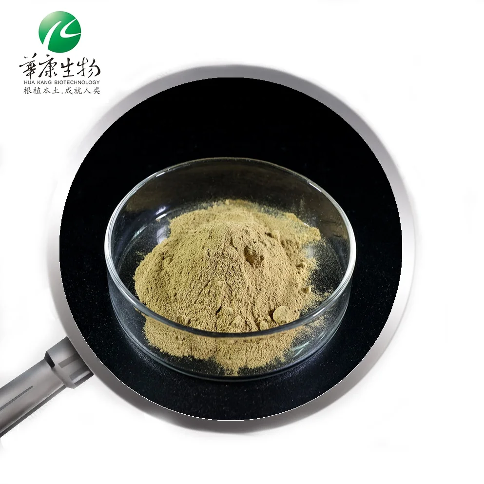 Cosmetics Grade Natural Fresh Zingiber Officinale Gingerols Black Ginger Root Extract