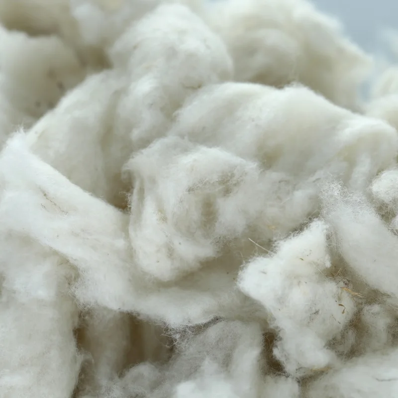25-26mic, 30-40mm Carded Sheep Wool Waste Wool Noils for Carpet Yarn and Felt