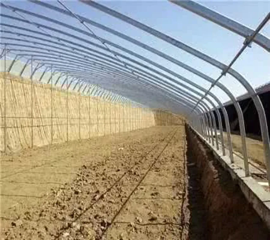 Winter Warm Soil/Brick Back Wall for Planting Tomato/Cucumber without Heating in Cold Winter