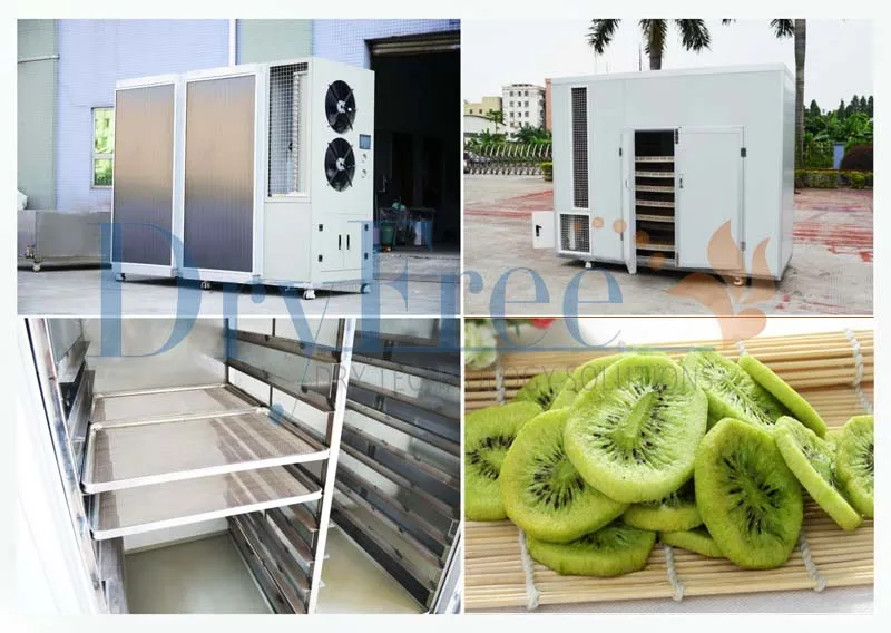 Easy Operation food Dryer For Drying  fruits  vegetables meat seafood Powered By solar or Electricity With Small Footprint