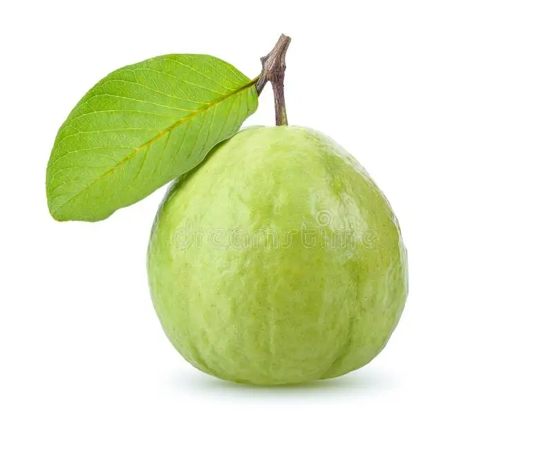 Queen Guava Vietnamese Fresh Fruit Sweet Organic Best Brand Quality Wholesaler Cheap Price Low MOQ Customized Packaging
