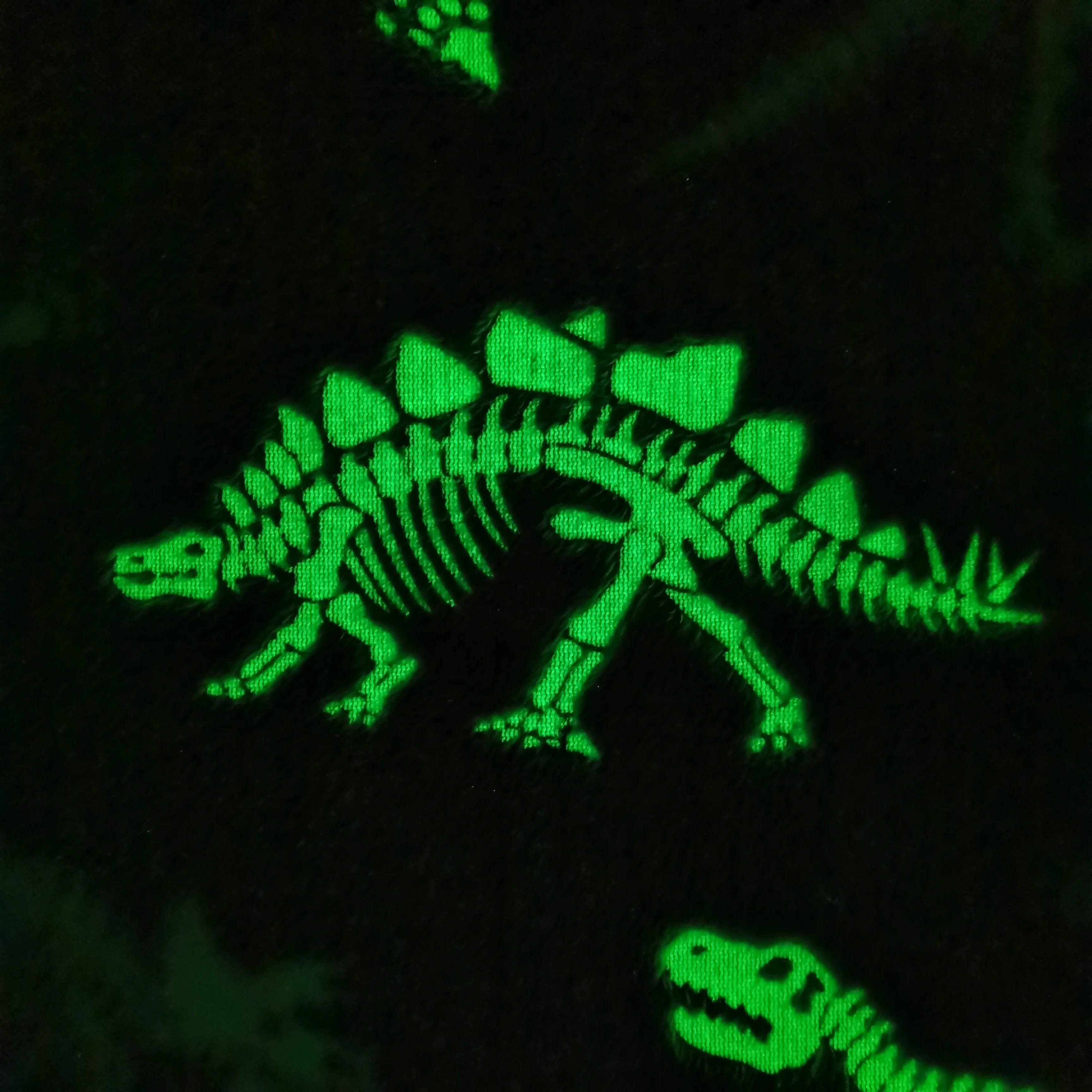 Polyester flannel coral fleece luminous dinosaur design fluorescent baby blanket glow in the dark luxury blanket throw for kids