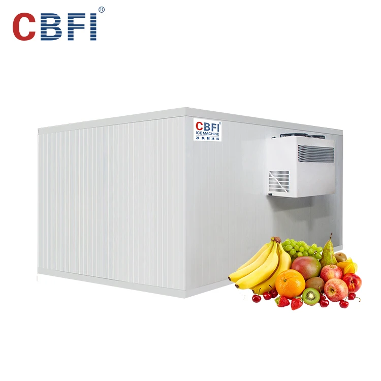 Hot selling Cold Storage Cold Room Cooling System , Blast freezer Room For Meat And Fish