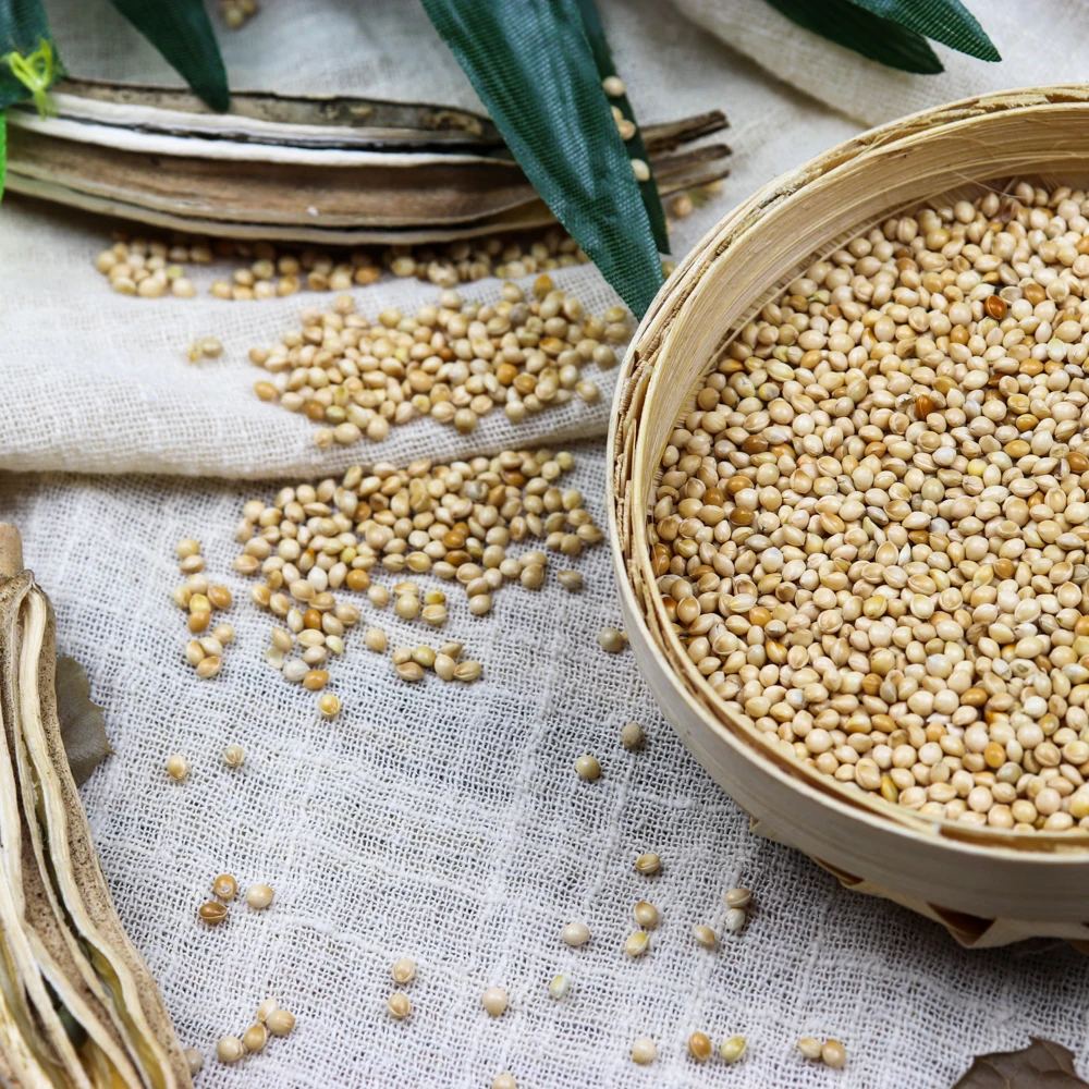 
 Микропроцессорные крупными партиями семян Канарских корней для птиц, соевое масло, завод, проса, клейкий органический белый сушеный AD  