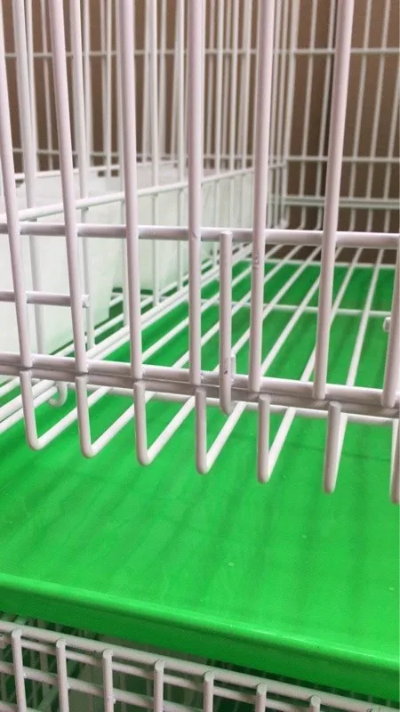 cage pour elevag pigeon voyageur cage pigeon  vendre