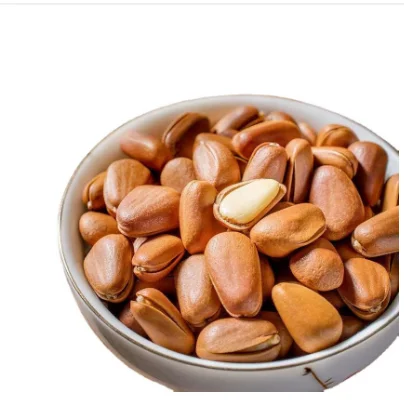 High Quality Natural hot sale Shellless Pine Nut Kernels Cedar Nuts Red Pine nut For Sales